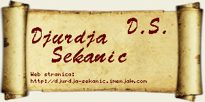 Đurđa Sekanić vizit kartica